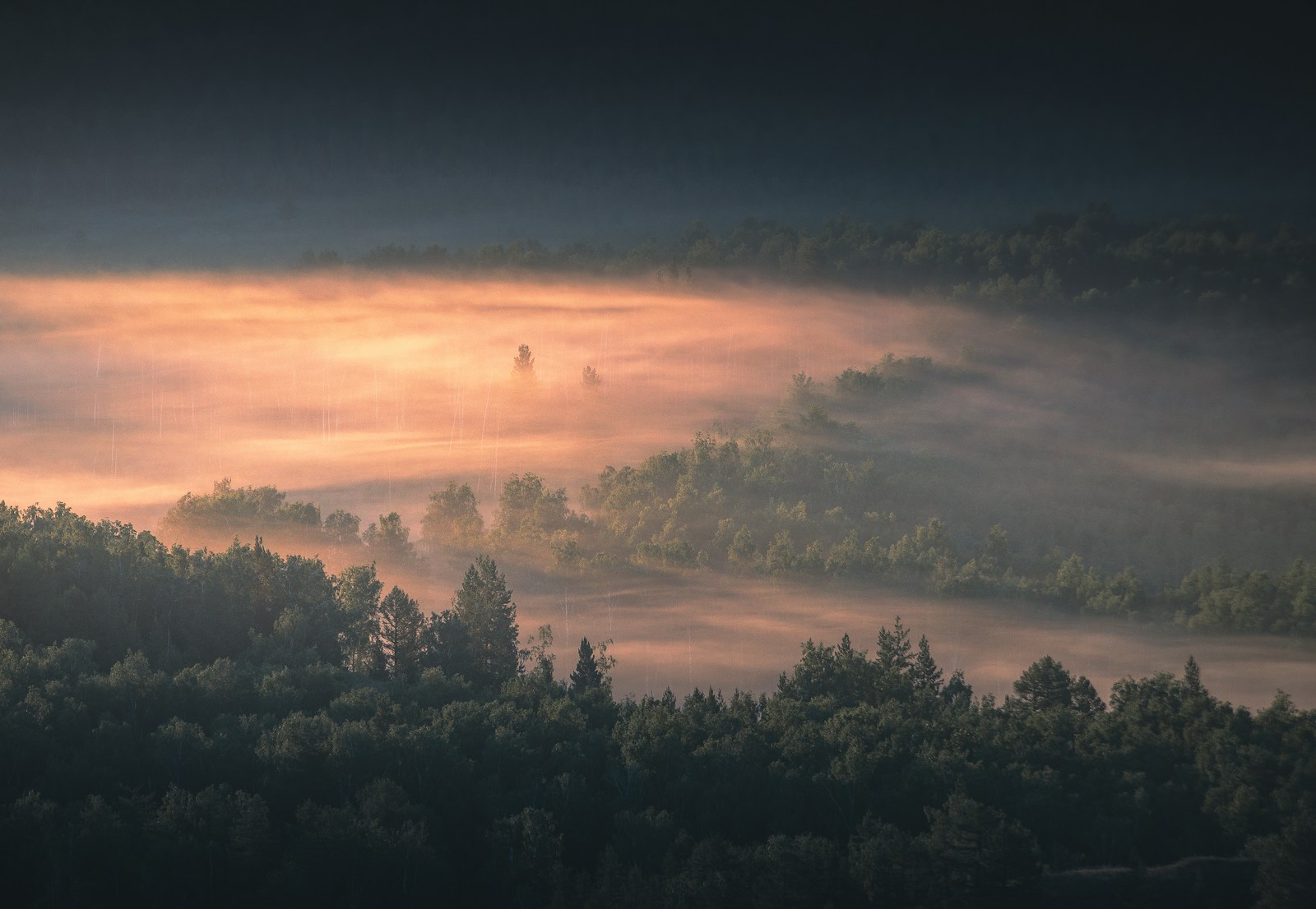 Shinrin-yoku at Home — misty cedar forest atmosphere